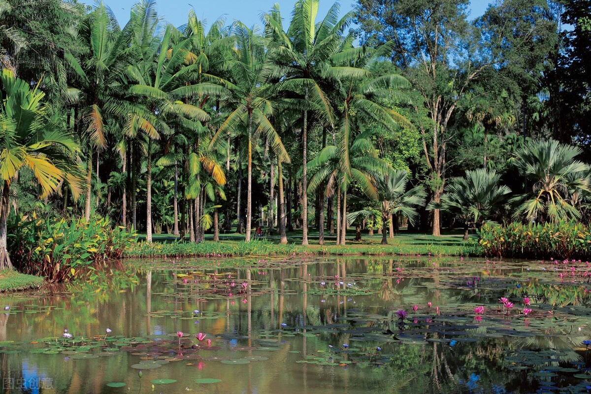 西双版纳值得旅游的地方,高品质西双版纳旅游