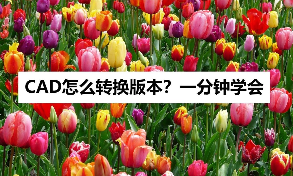 cad版本转换怎么突然用不了了,手机cad快速看图怎么转换版本