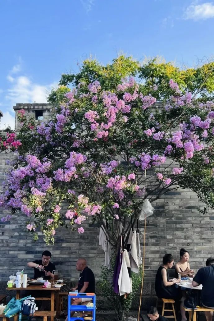 成都周边游一天一晚短途旅游,成都周边4日游哪里巴适