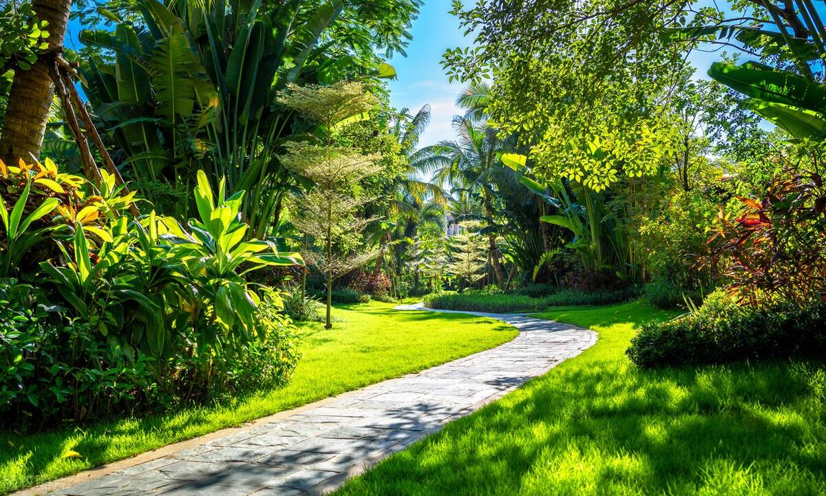 园林绿化养护一般包含哪些内容,园林绿化属于什么经费