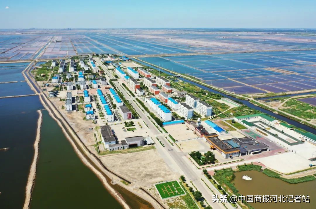 唐山三友集团,唐山三友集团企业理念