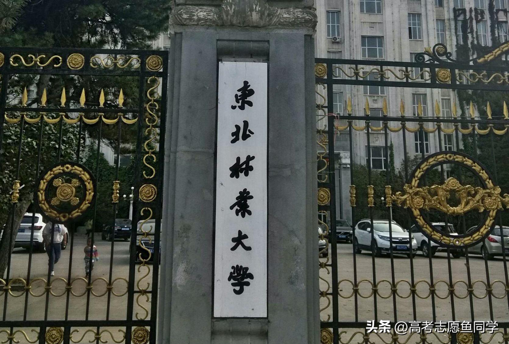 面积最大的农林类大学,全国农林类大学最新排名一览表