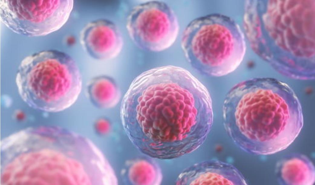 为何缺乏维生素b2,缺乏维生素b2会影响什么