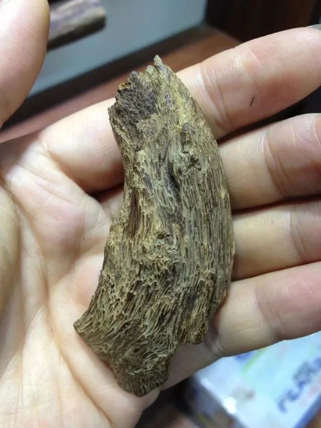 越南富森红土沉香沉水,富森红土沉香有多难得