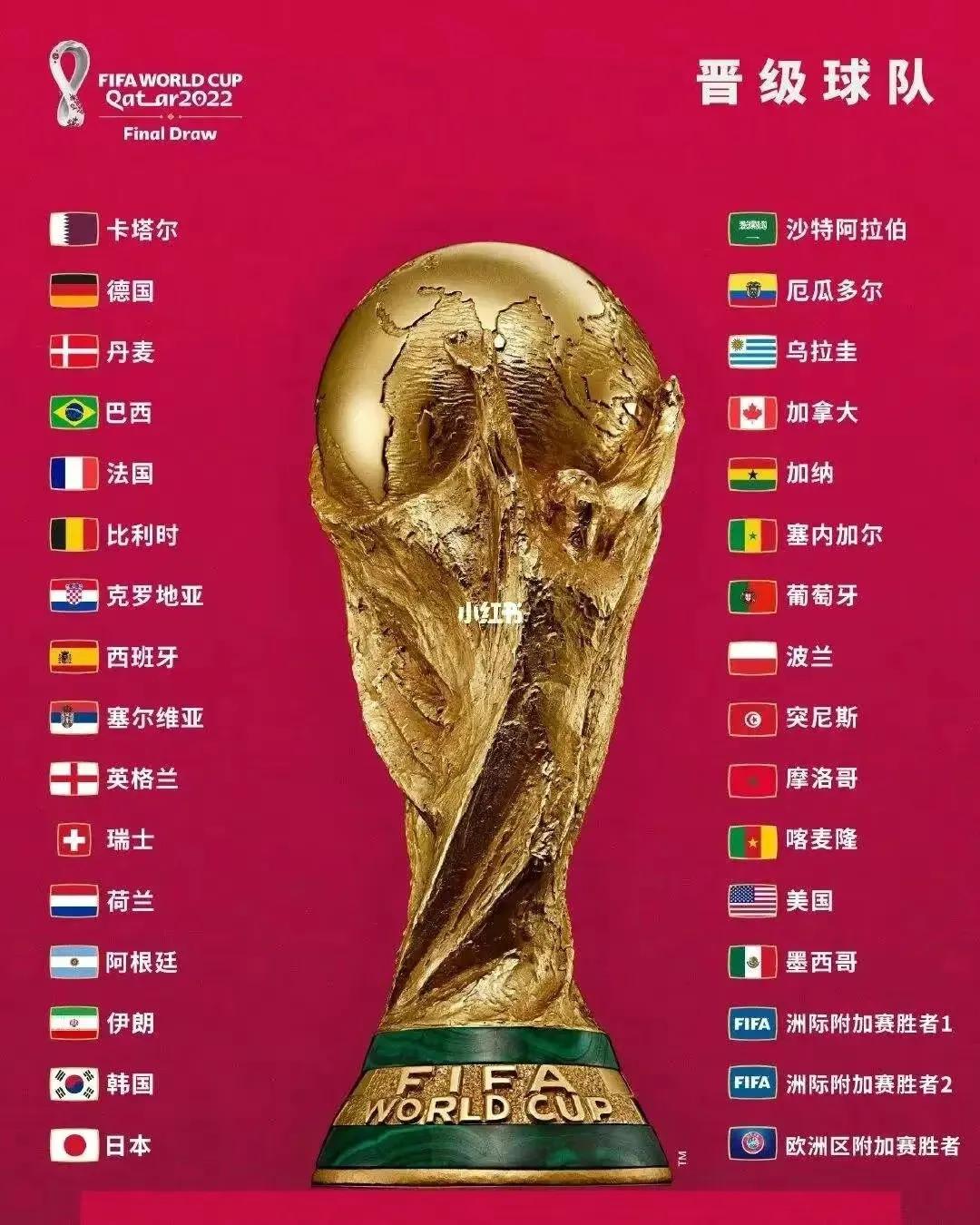 世界杯买彩票至少多少钱 (世界杯足彩理性购彩标语)