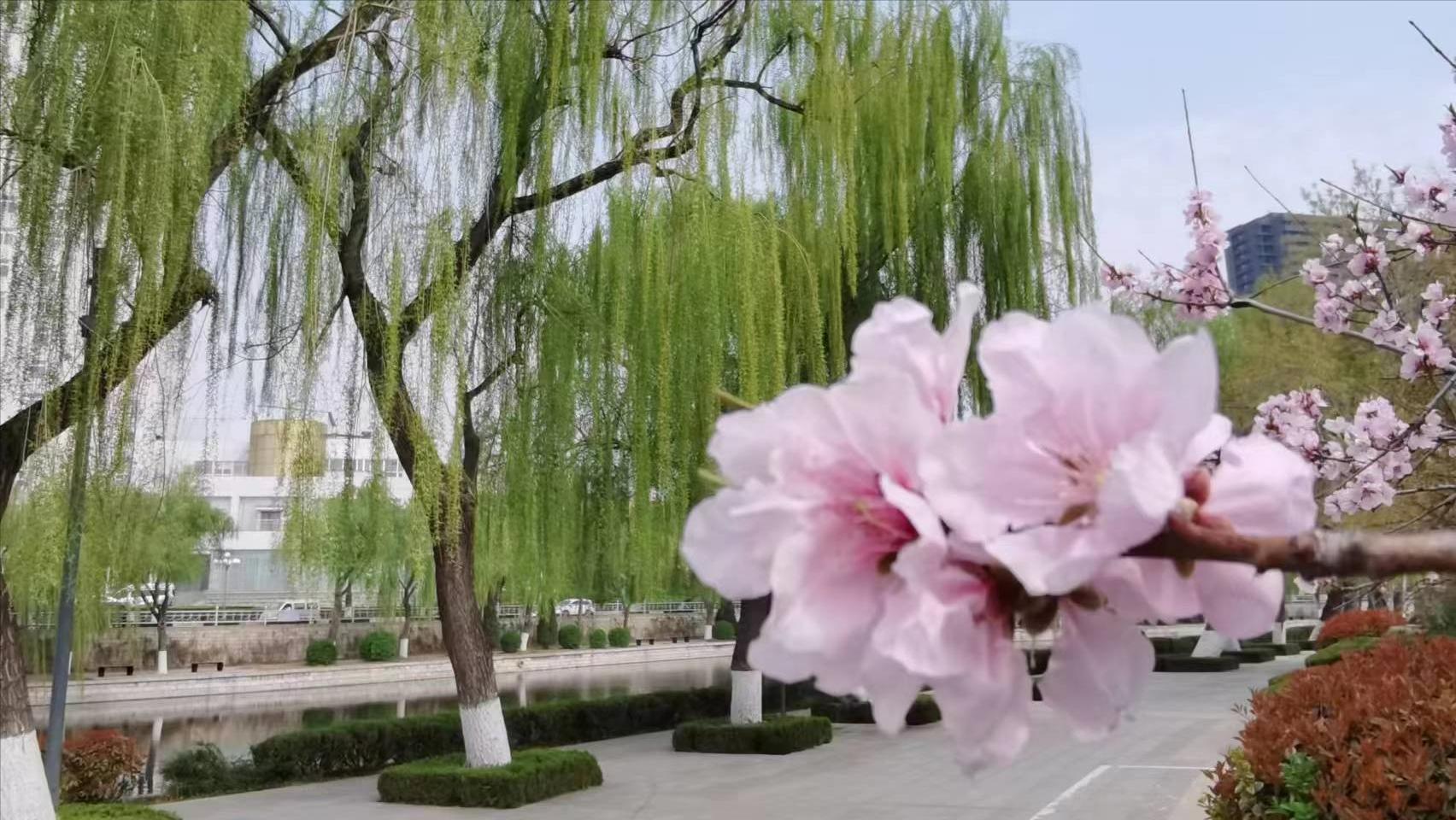 记录我的退休生活21：你笑起来就是好天气，你知足就是幸福