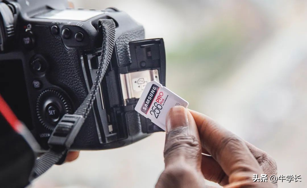 sd卡误删误格式化,sd卡受损格式化之后能恢复数据吗