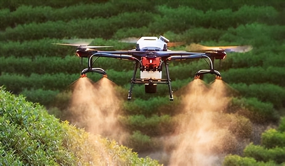 利用林业资源带动经济发展的举措,利用与发展