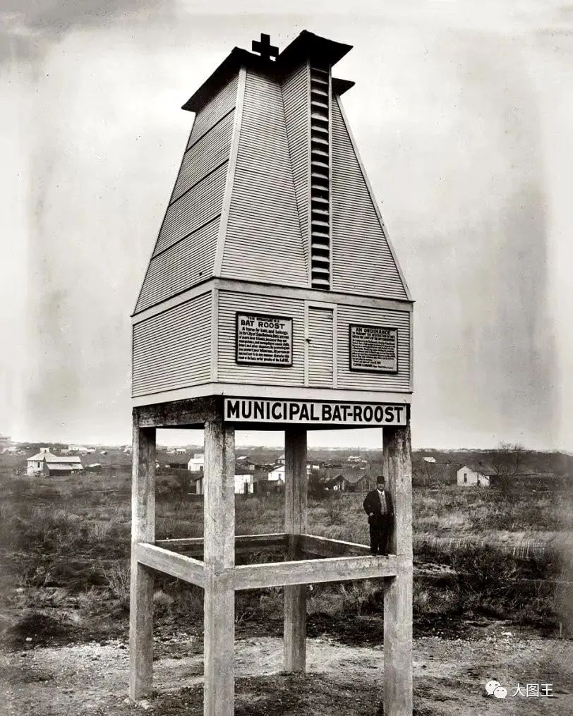 享受悠闲照片,看着比较享受生活的照片