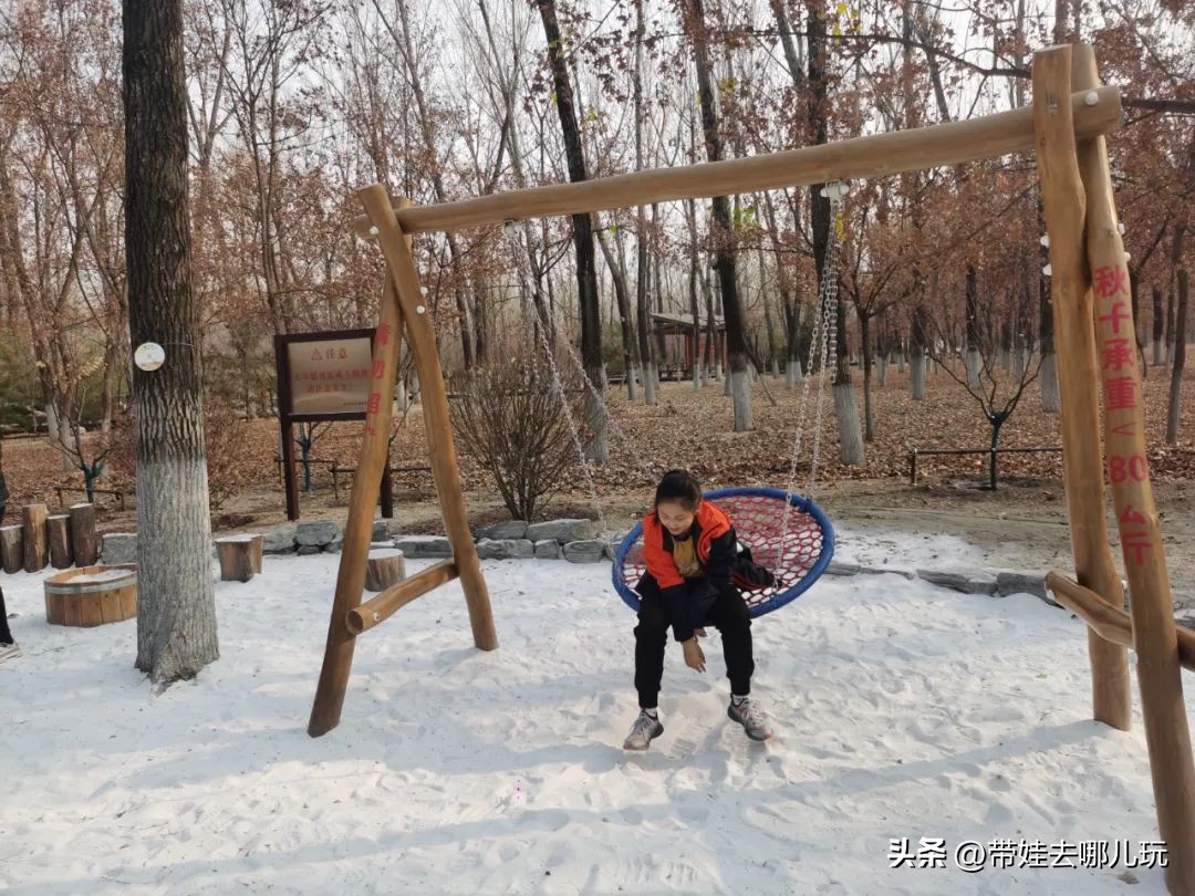 骑行国家森林公园,徒步骑行森林公园