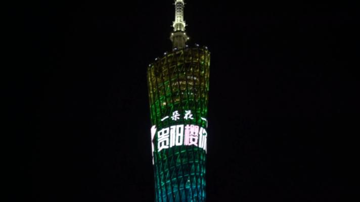 贵阳最大的樱花园,贵阳贵安新区樱花园