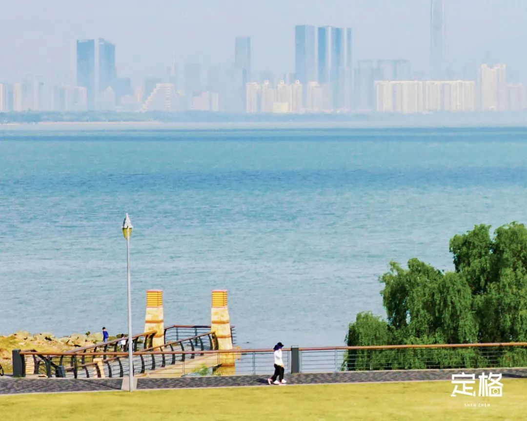 深圳周末带孩子免费游玩好去处,周末去哪玩推荐深圳
