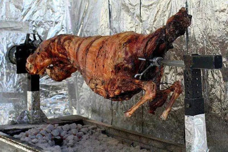 澳大利亚80年一遇的袋鼠杀人事件,澳大利亚袋鼠为什么会被扑杀