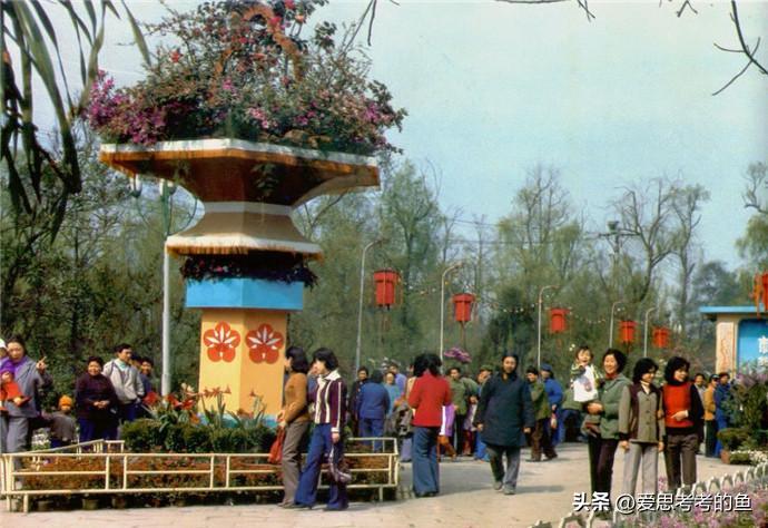 娓呭绉樺彶鍥剧墖澶у叏,娓呮湞瀹环绉樺彶鍥剧墖