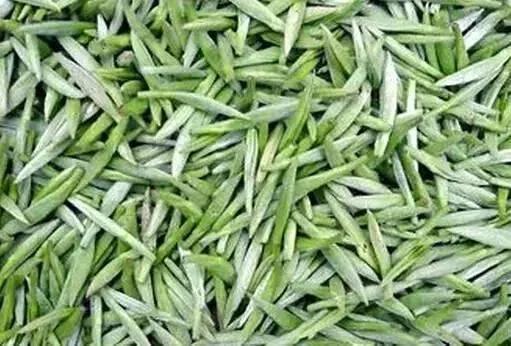 当阳玉泉仙人掌茶,李白写仙人掌茶的诗