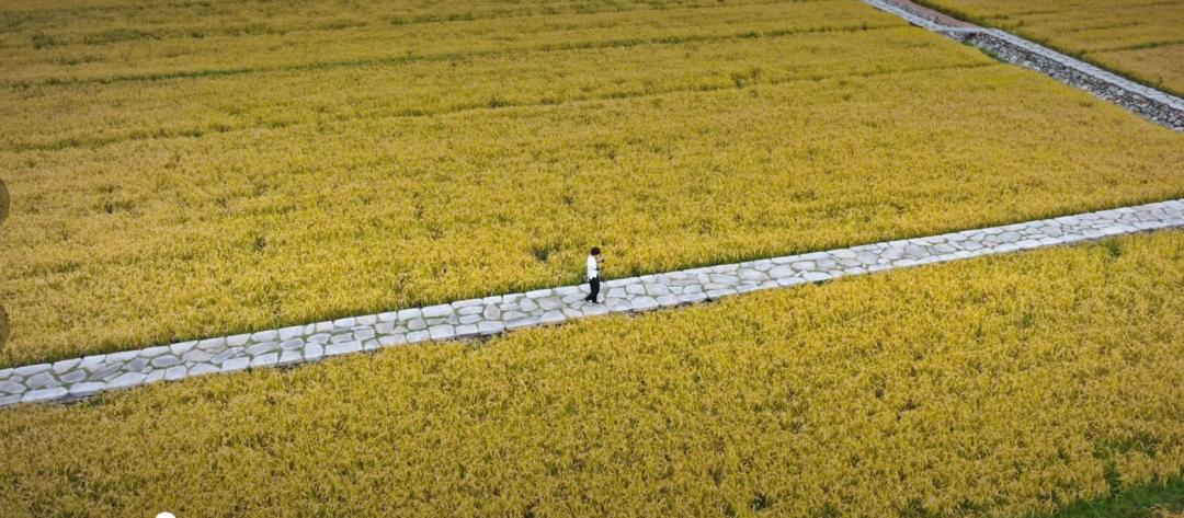 肖像摄影相机参数设置,肖像摄影拍摄教程视频
