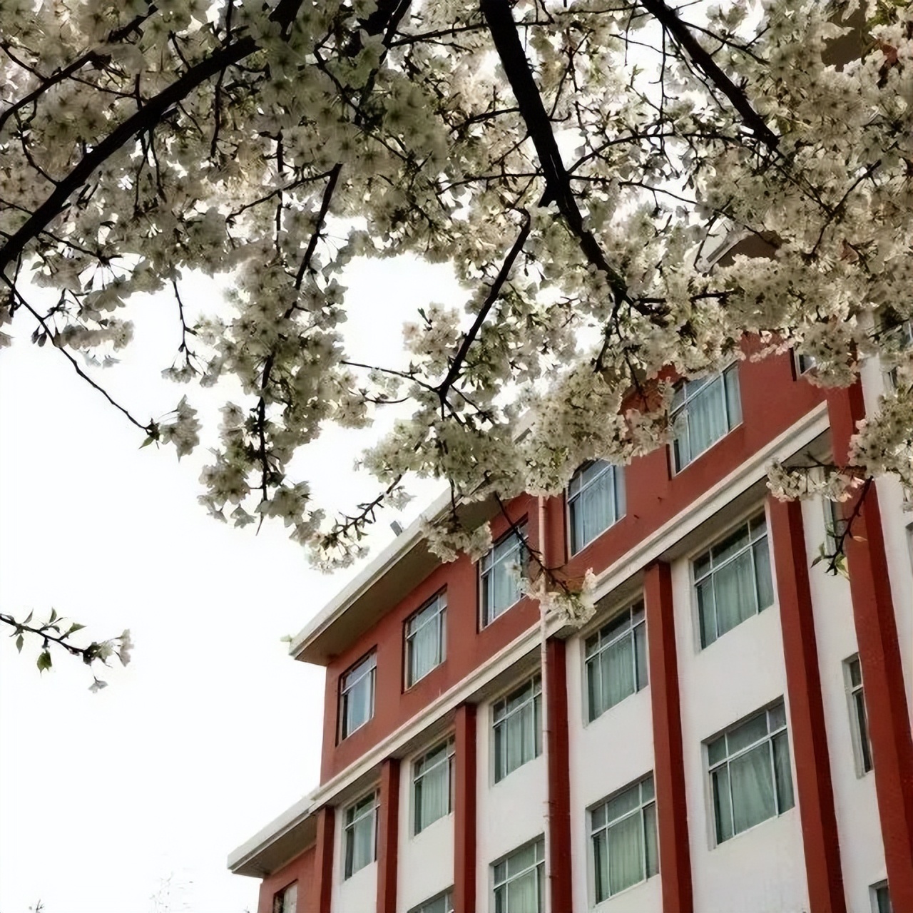 涓嶈礋闈掓槬涓嶈礋闊跺崕鐮ョ牶鍓嶈,涓嶈礋闈掓槬涓嶈礋闊跺崕鐮ョ牶濂嬭繘