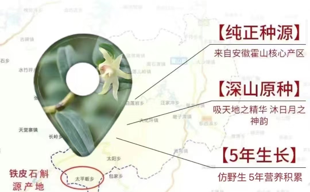 鲜野生铁皮石斛多少一克,野生石斛一般多少一克