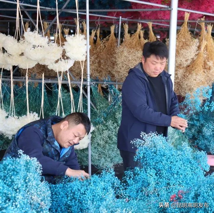嵩明永生花店 (嵩明永生花)