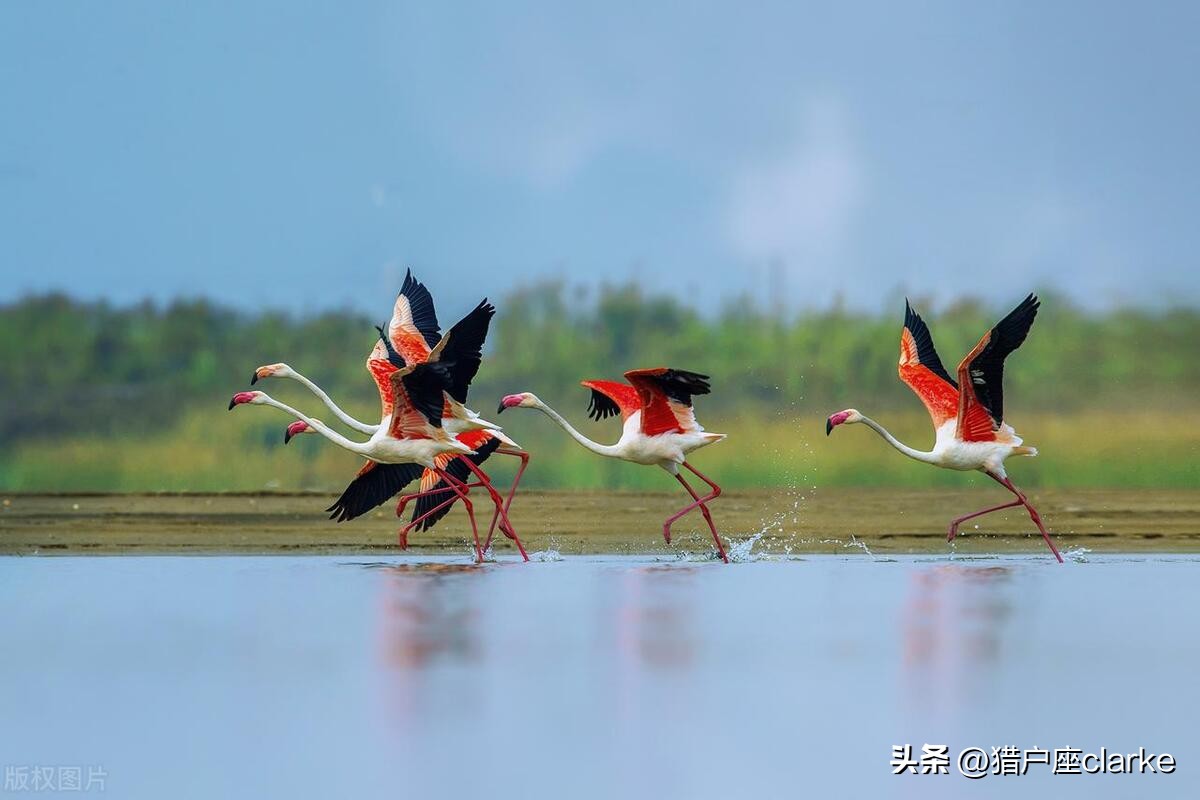 怎么拍出有力量感的动作,如何拍出具有冲击力照片