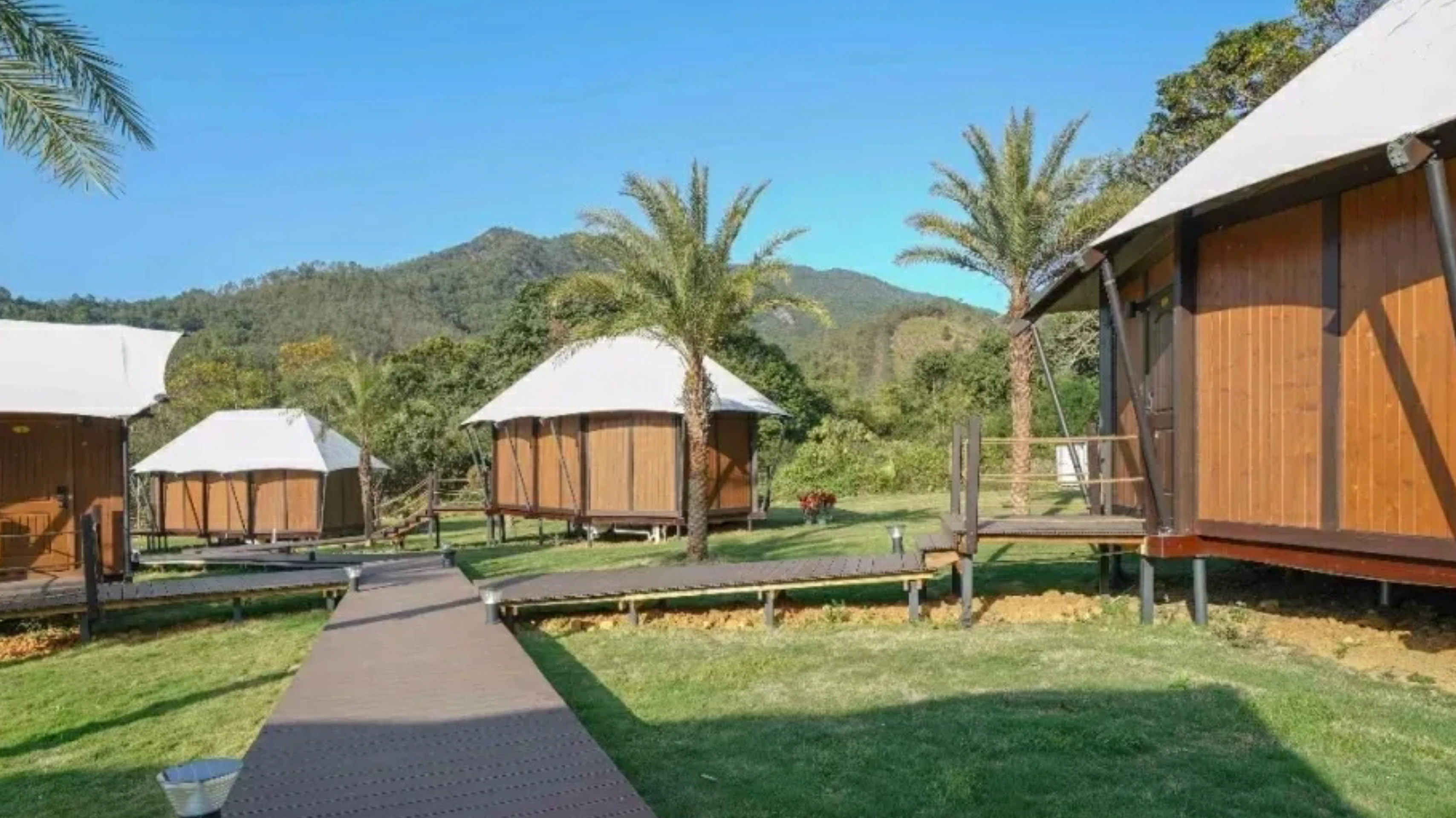 惠州赏梅花地方,惠州惠东梁化镇梅园