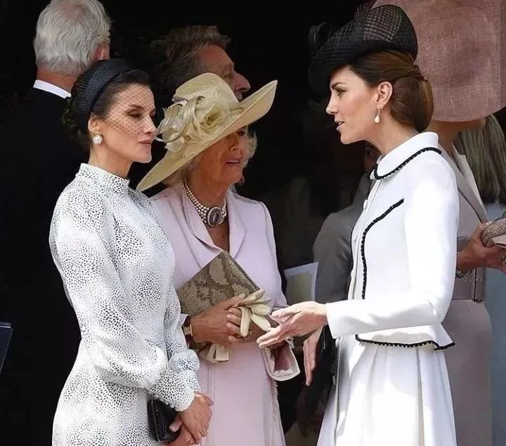 卡米拉出尽风头,卡米拉靠什么被女王认可