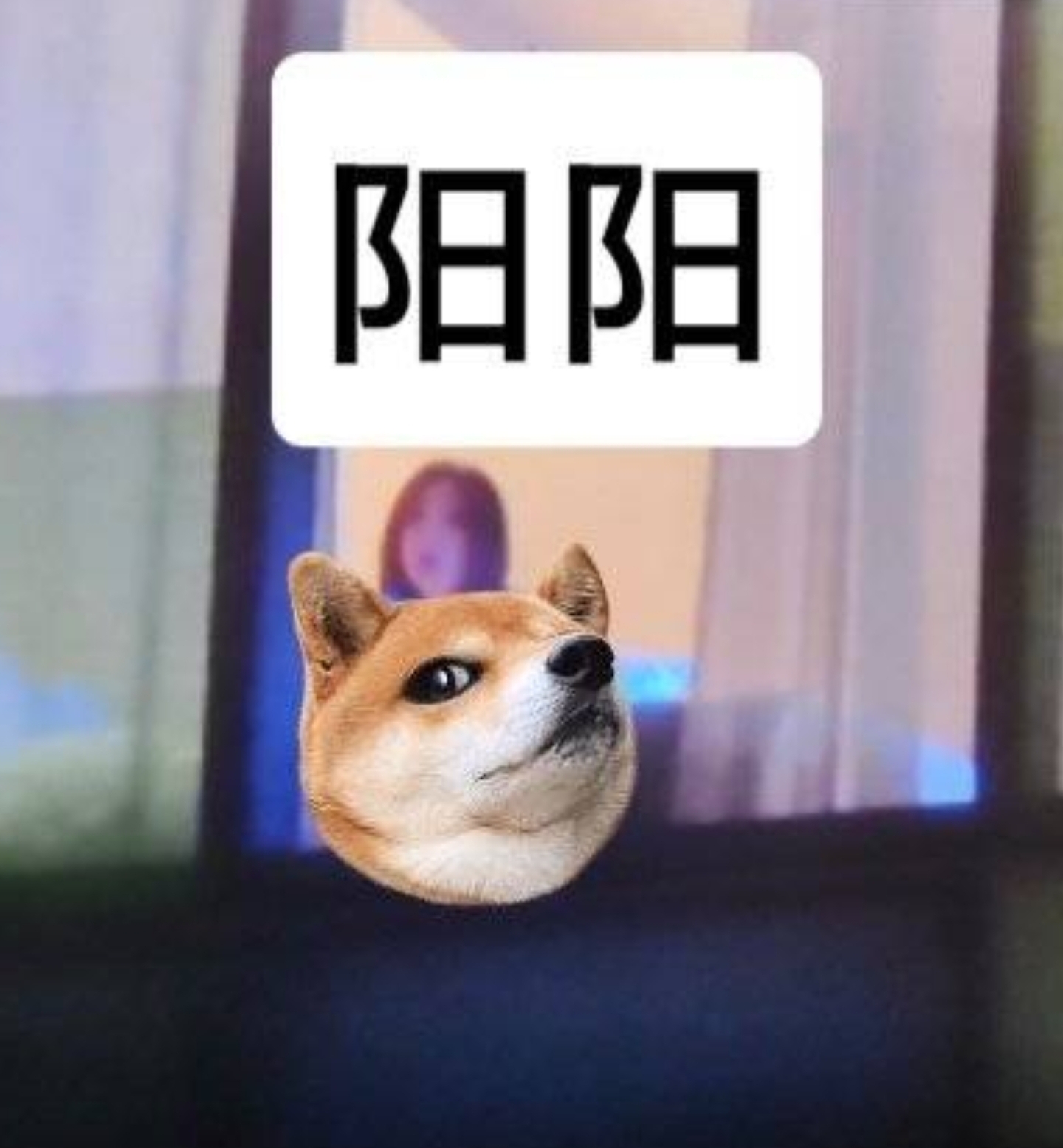 曝鹿晗关晓彤感情出问题，狗仔晒男星酒店亲密照，内涵鹿晗虞书欣