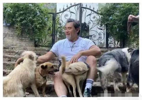 年轻时帅炸天的8位男星，中年后，有人胖快200斤，有人秃成地中海