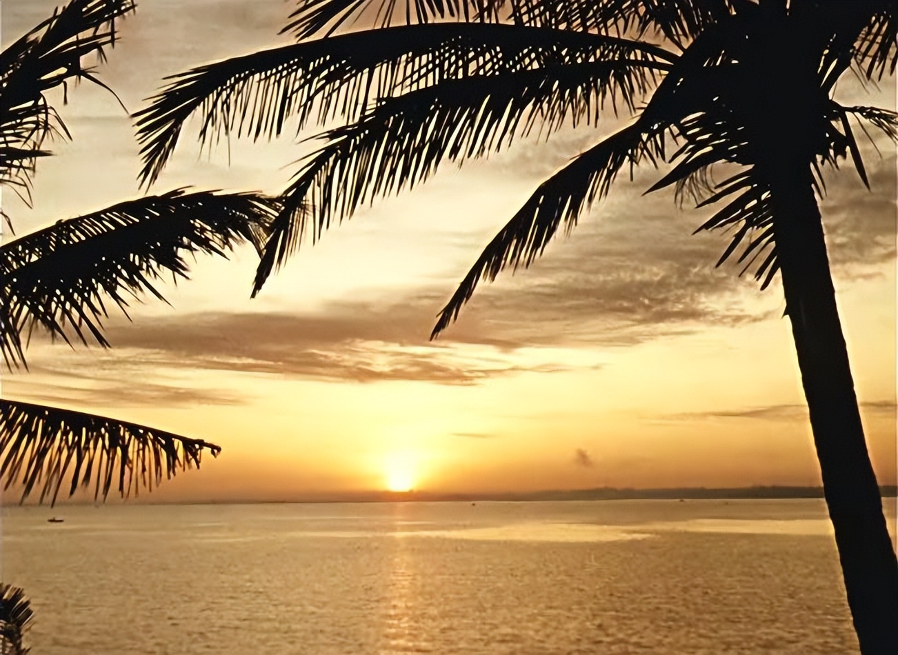 58年前的五好电影画面美歌好听女主角青春靓丽男主角人帅嗓音性感