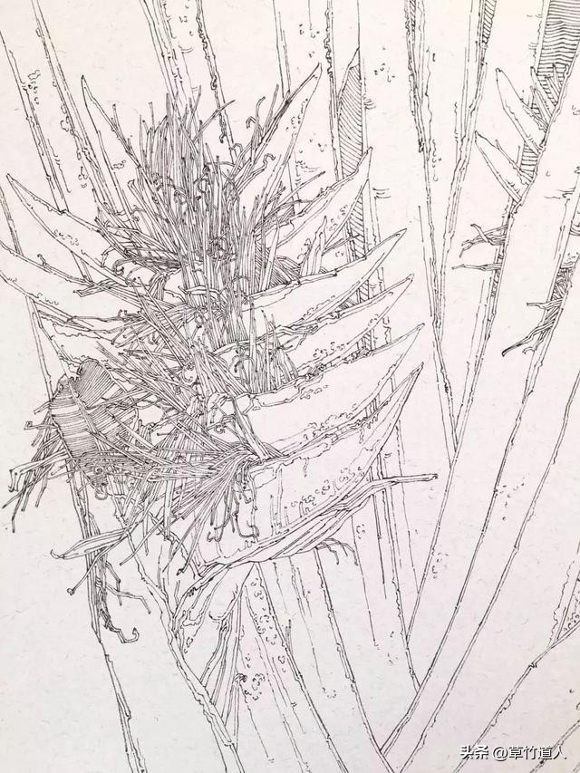 绘画艺术形象及其审美意义,中国绘画的审美特点4字