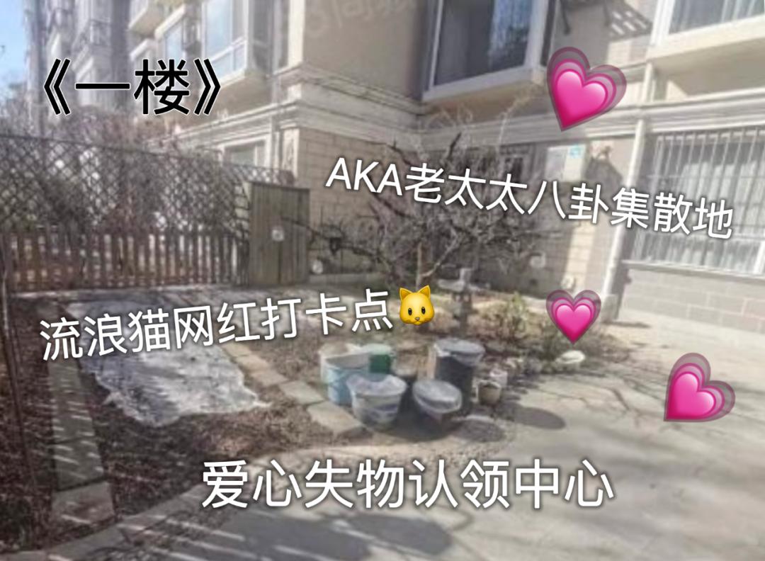 租房找一楼是不是不太好,租房到最高层的弊端