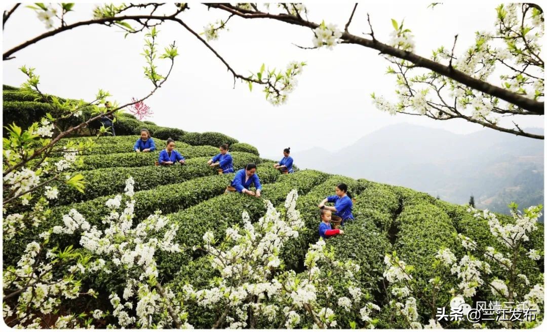 今天，三江69岁啦！让我们一起细数您的美丽嬗变