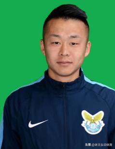 大连阿尔滨降级,历届大连阿尔滨主力名单