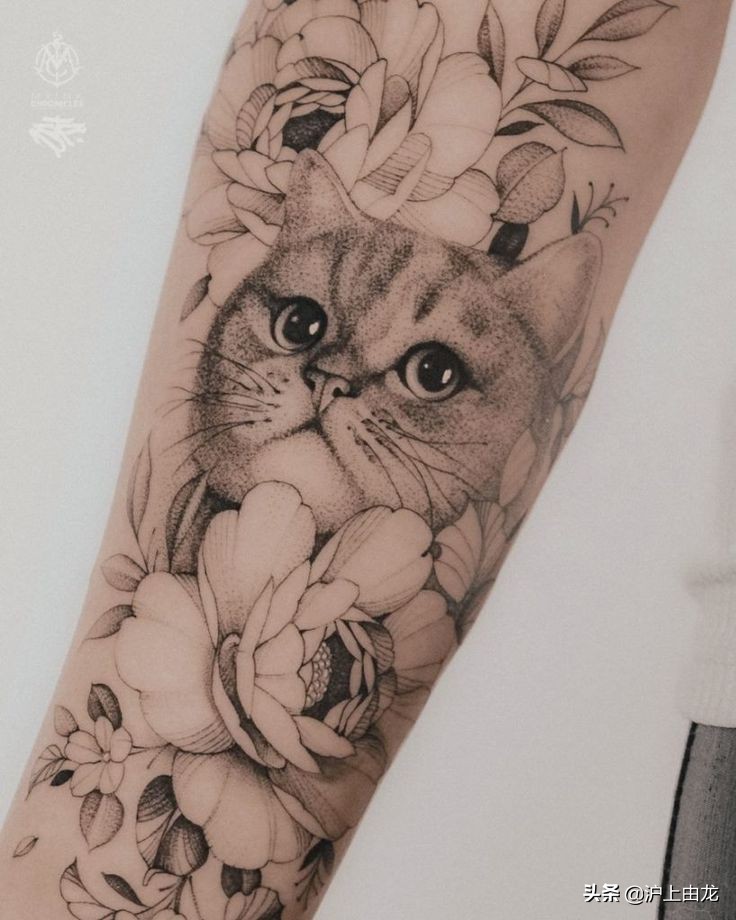 猫咪纹身图案设计,猫咪纹身图片小图案