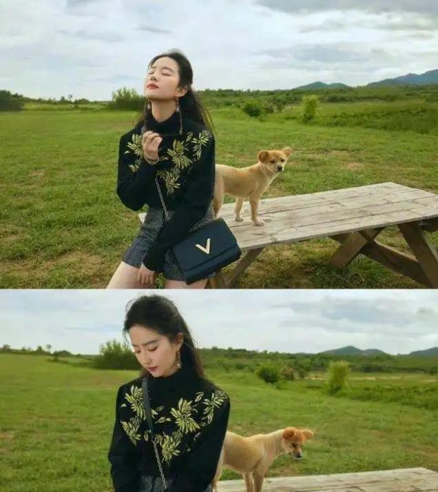 6部预定爆款剧,央视六套热播剧