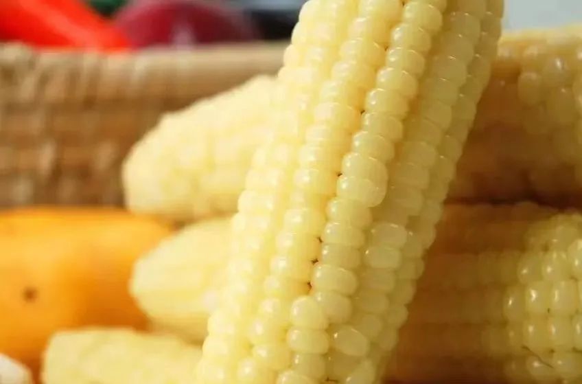 吃玉米喝玉米水能减肥吗,玉米减肥还是紫薯减肥