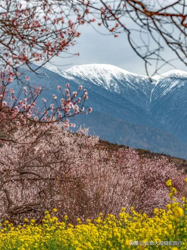 3月份去西藏林芝,3-4月去西藏林芝好玩吗