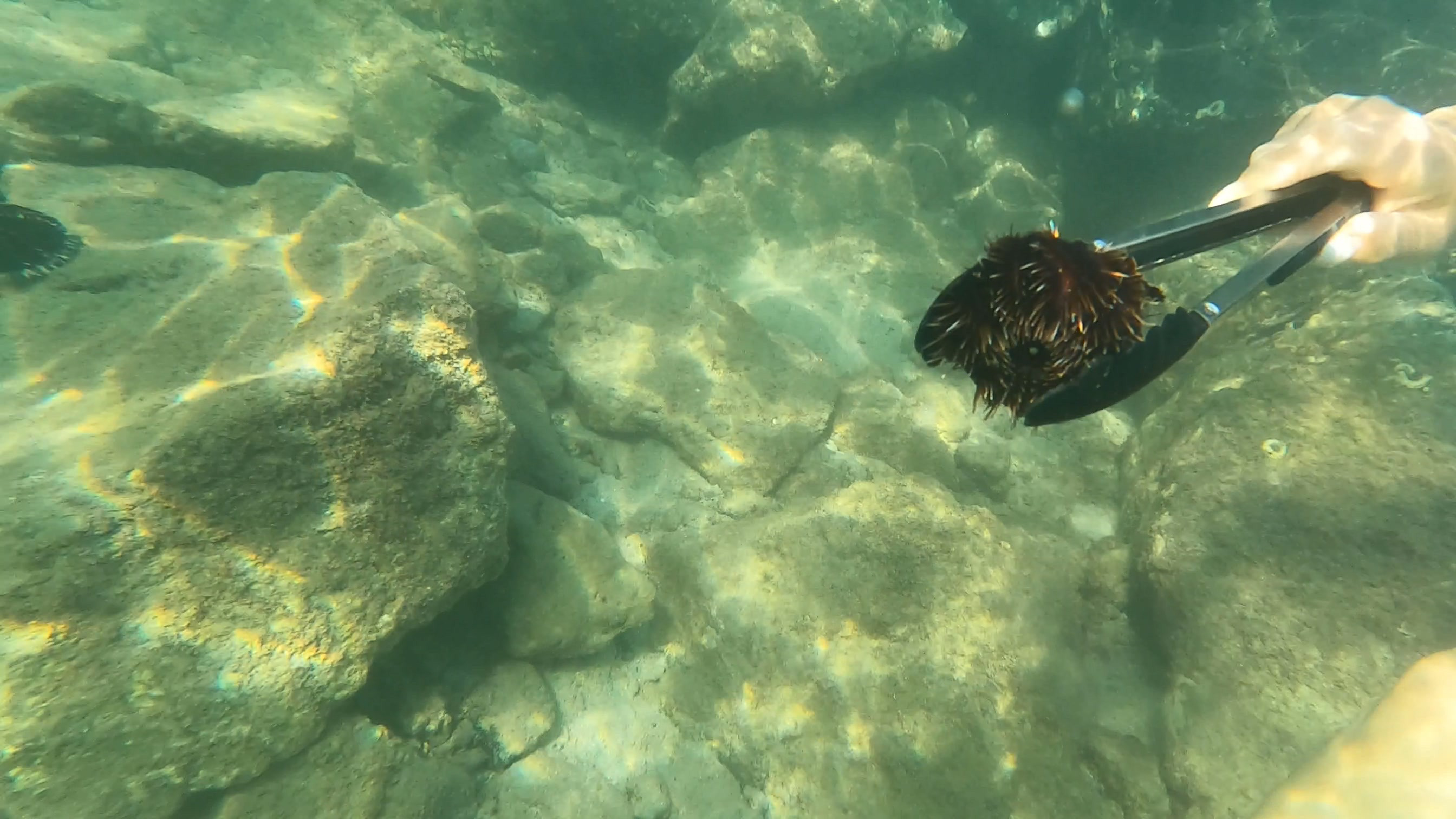 美国风光之夏威夷,夏威夷哪个岛适合度假