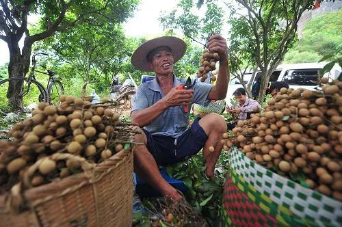最有效的赚钱模式,普通人怎么翻身赚钱案例