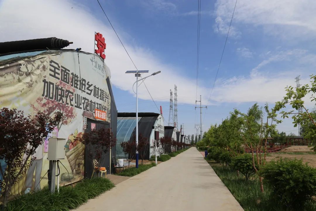 瀹佸崰蹇犳氮瀛愬洖澶翠粖鎴愯嚧瀵屽甫澶翠汉,鏋椾害鍕ゆ氮瀛愬洖澶村涓婅劚璐嚧瀵岃矾