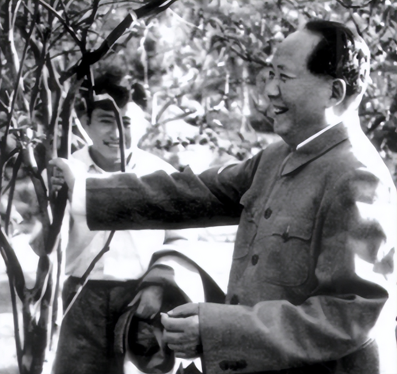 52年伟人游孔庙，交谈中突然问曲阜县委书记：莫非你是孔子后人？