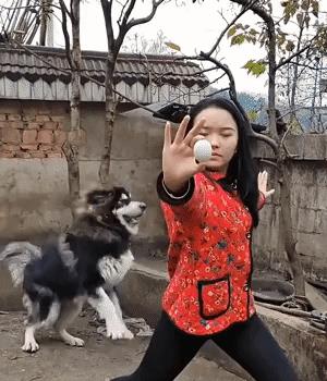 “无意中在女同事车上发现的，这是用来干嘛的？”网友们内涵了