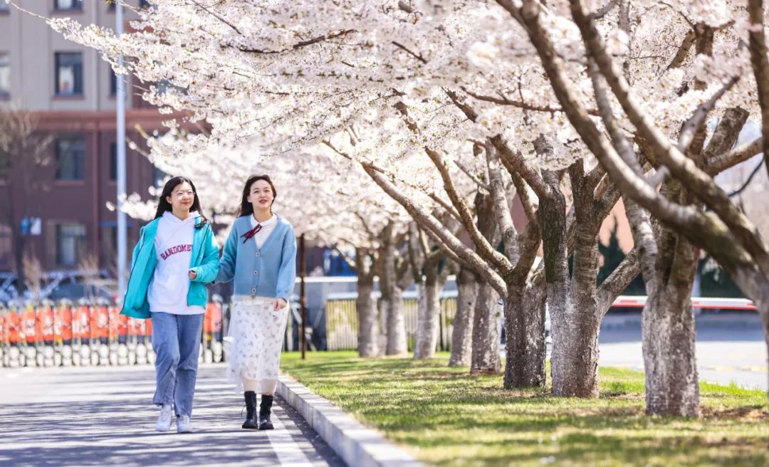 大工校庆,大工校庆晚会直播