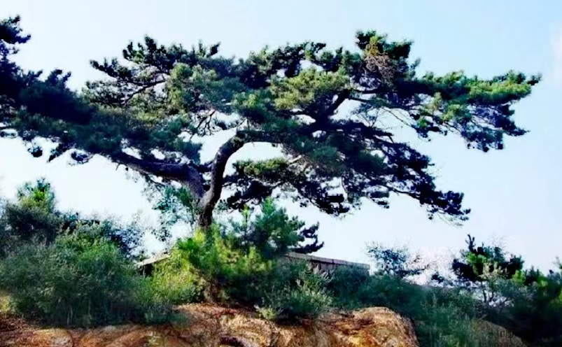 天津旅游必去十大景点推荐最新,天津最好玩的几个景点