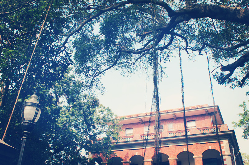 八个最不推荐的大学专业,这8所211名校分数低很好考