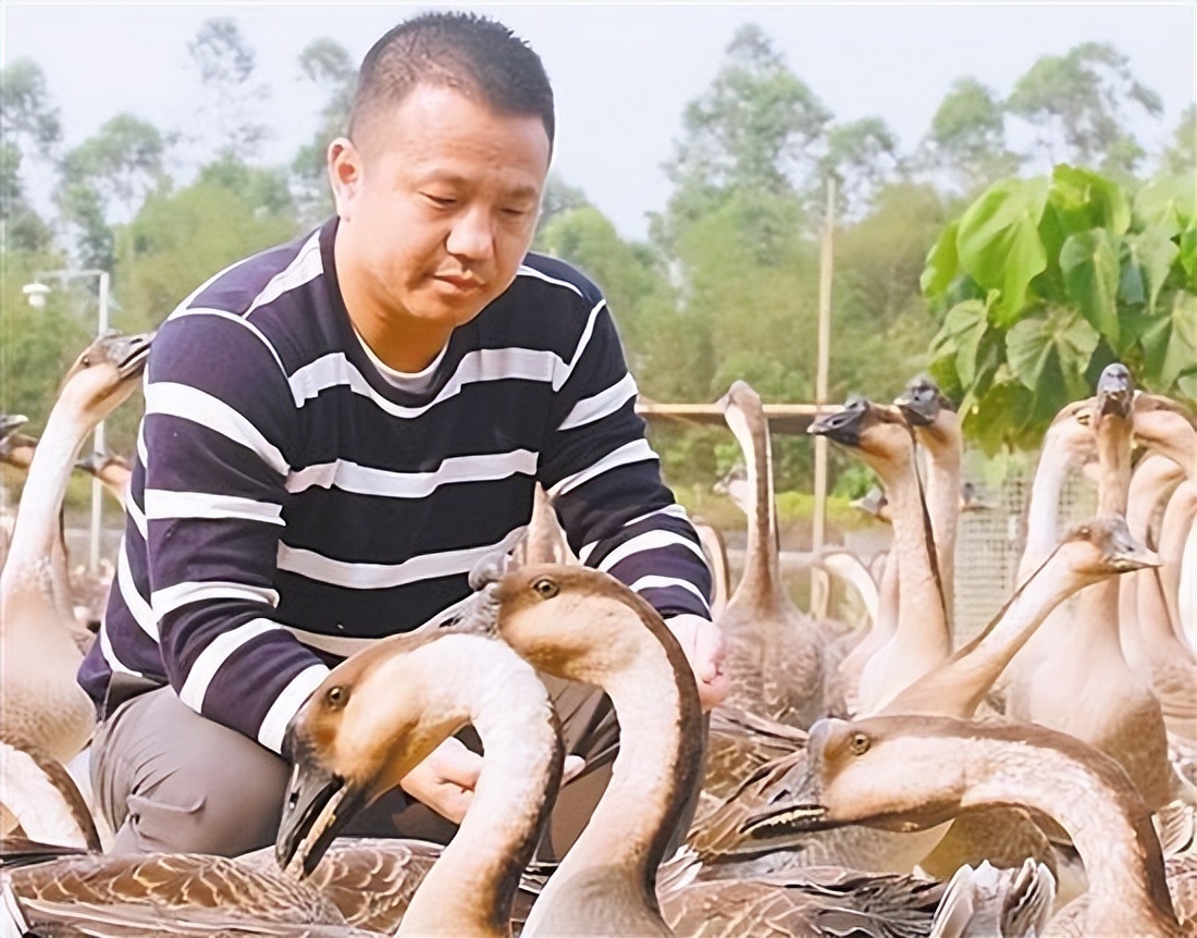 江门冷链产业园,广东江门冷链产业园