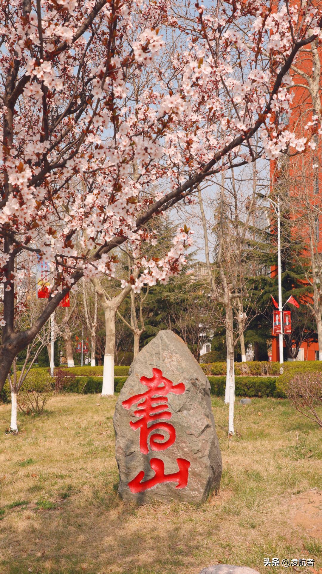 共赴春之约携手新征程,共赴春天之约携手砥砺前行