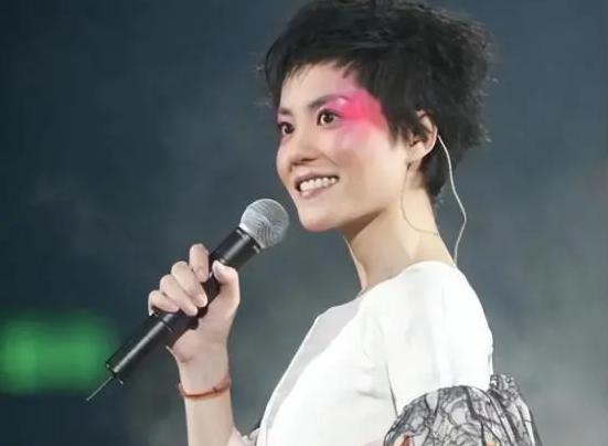 谢霆锋为什么如此喜欢王菲,谢霆锋为何喜欢王菲这么多年