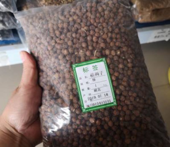 隐藏在寺院内的黑暗---捕快勇斗恶僧