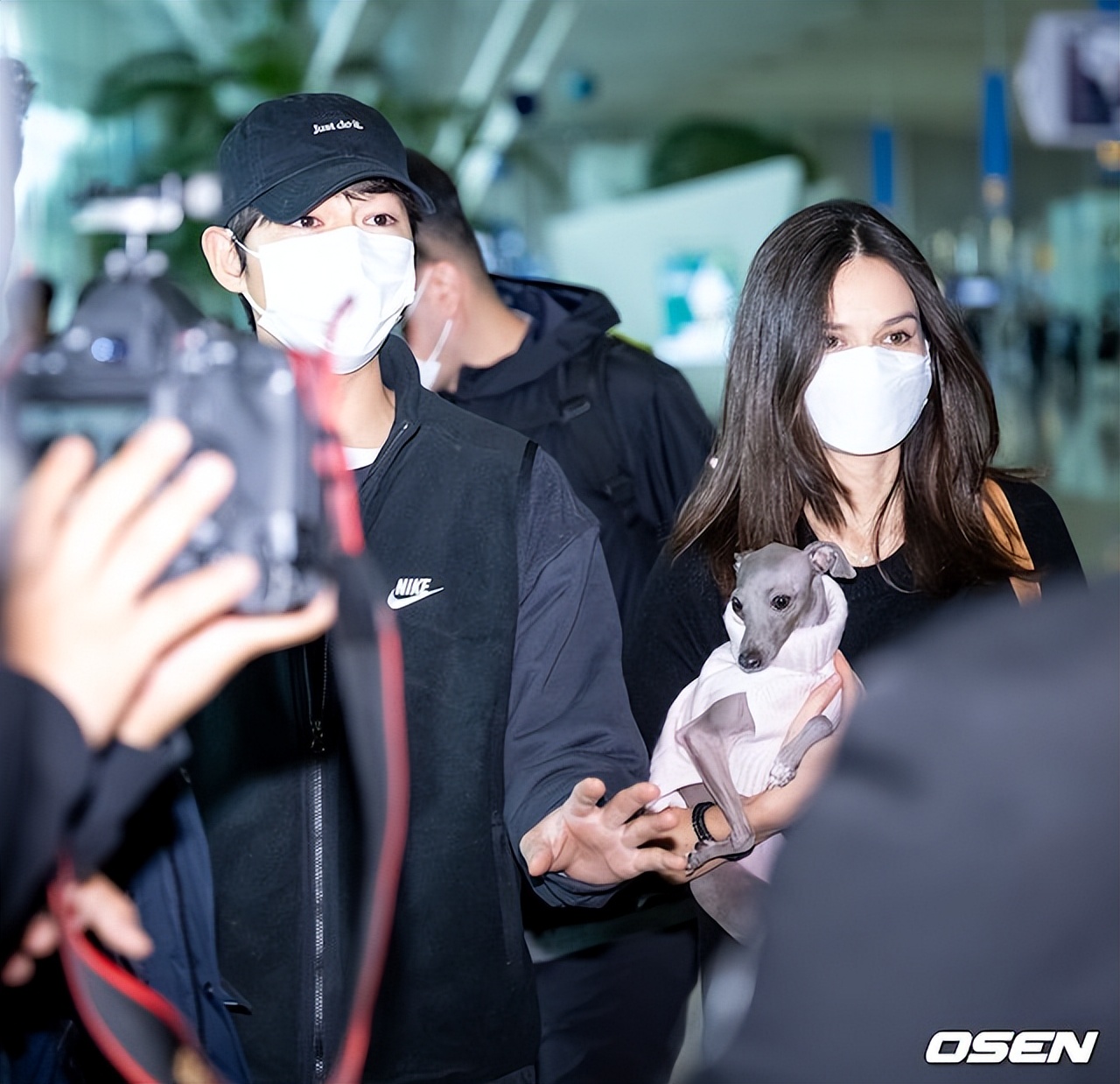 宋仲基katy夫妻相,宋仲基带妻子参加了釜山电影节吗